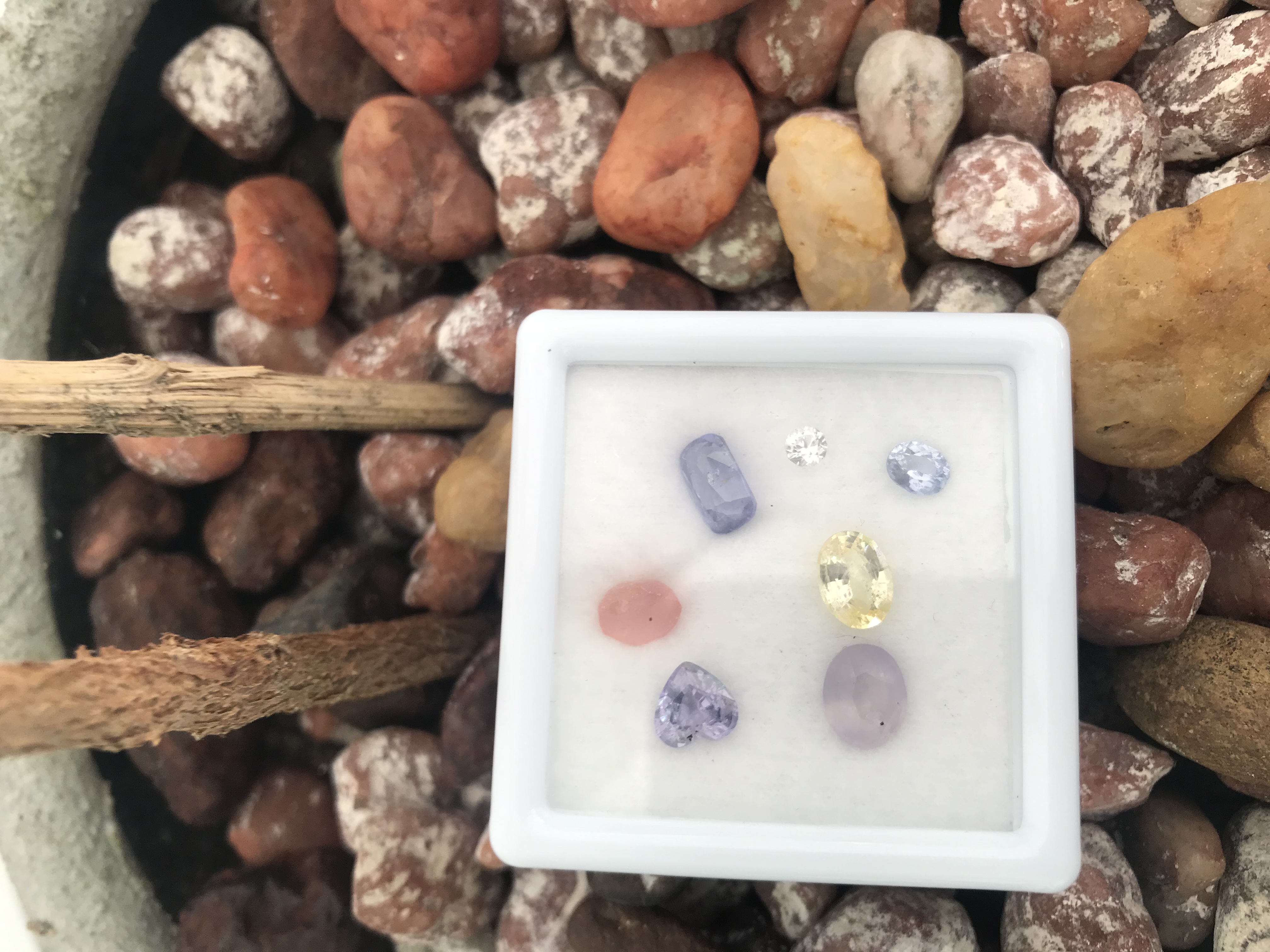 Blue sapphires unheated