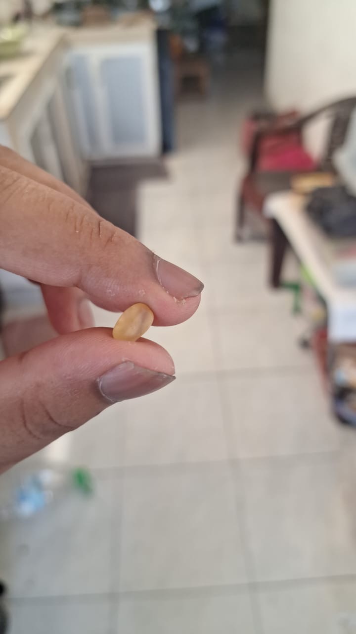 Rough Stone Sale - Image 5