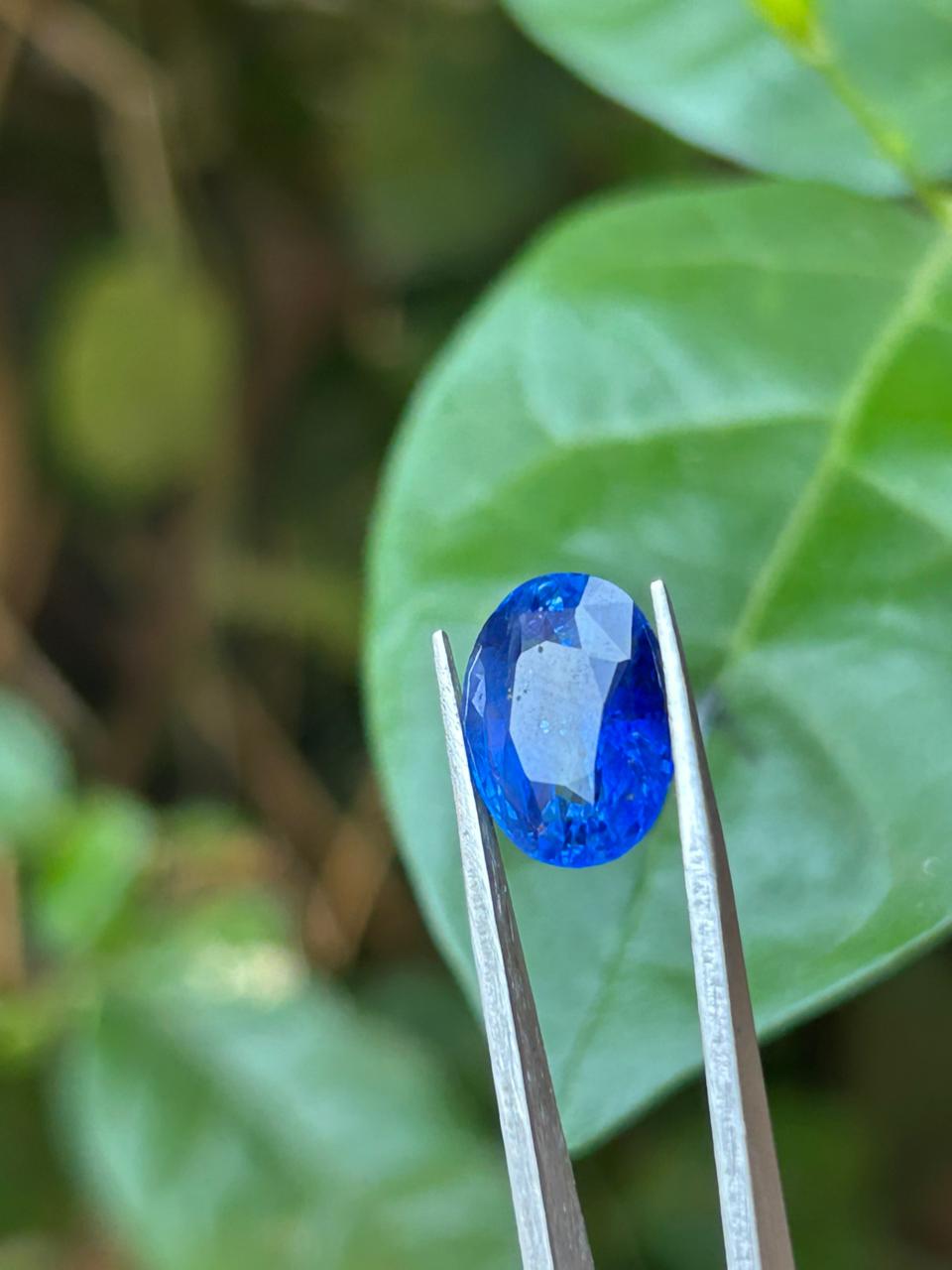 Royal Blue Sapphire ( 6.11 Crt )